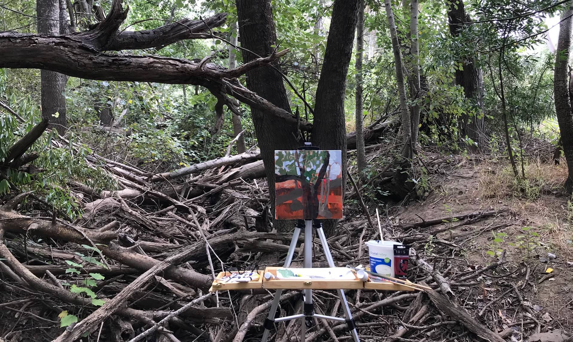 plein air painting in a farm forest, Stanford