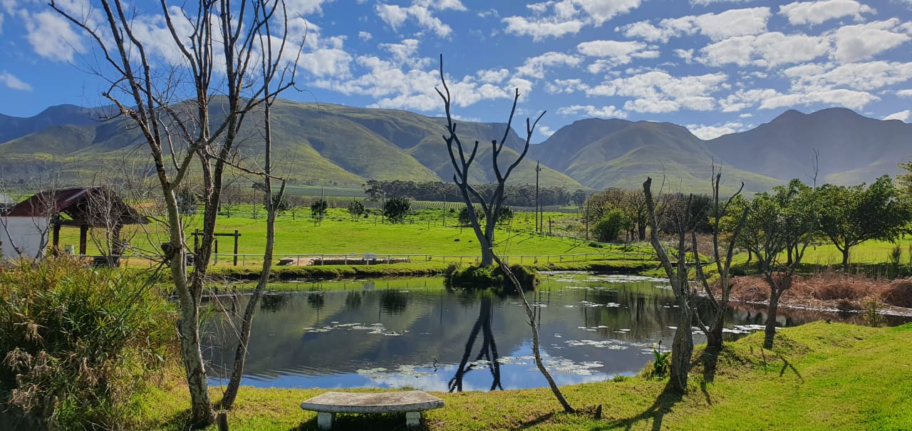 Women’s Day Landscape Painting Workshop