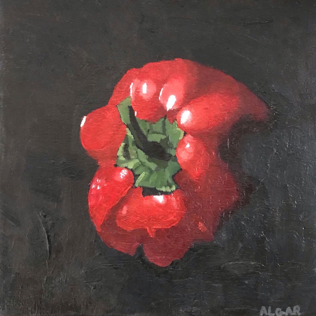 Red Pepper oil on canvas Tracy Algar