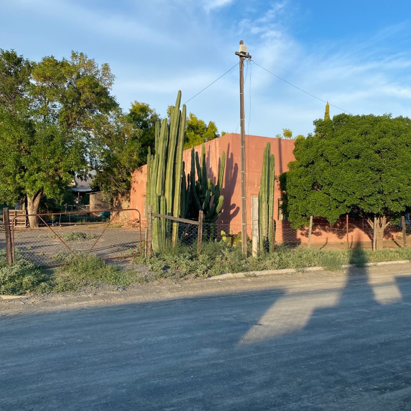 Reference photograph for Phillip's House by Tracy Algar