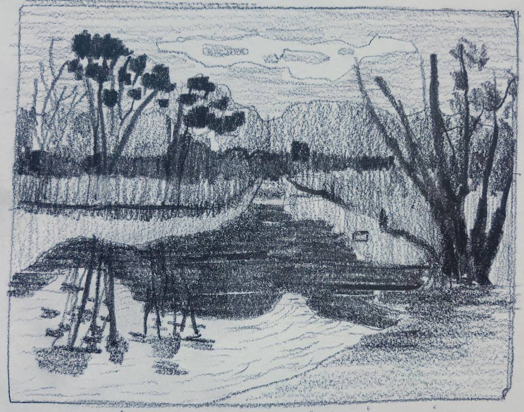 Half-day pencil sketching landscape workshop, Stanford.