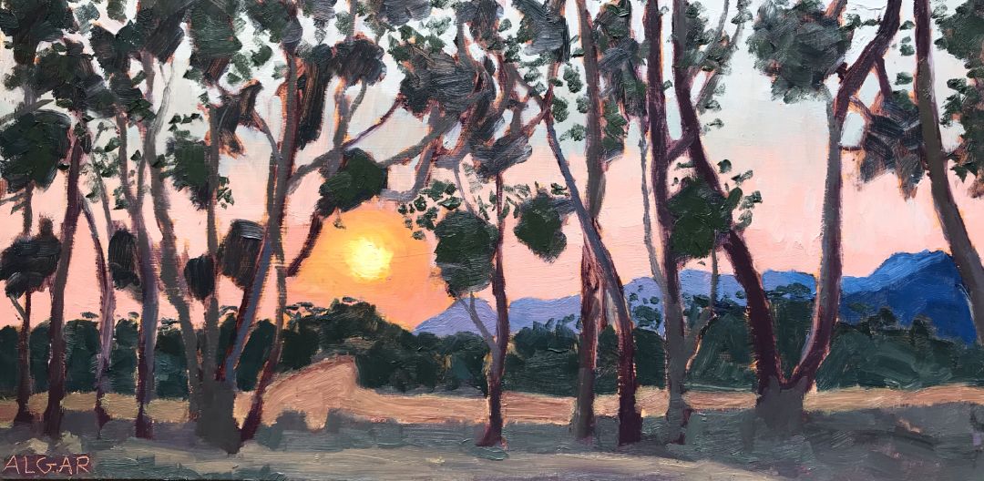Sunset, Stanford - Tracy Algar