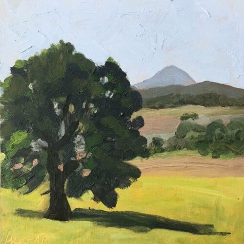 Painterly landscape by Tracy Algar: A lone, leafy tree stands in a vibrant yellow-green field with hills and a mountain behind it. Oil on board.