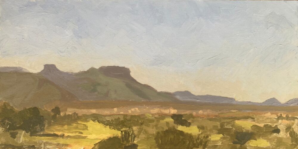 © Tracy Algar - Dusty Landscape near Graaff-Reinet - original oil painting