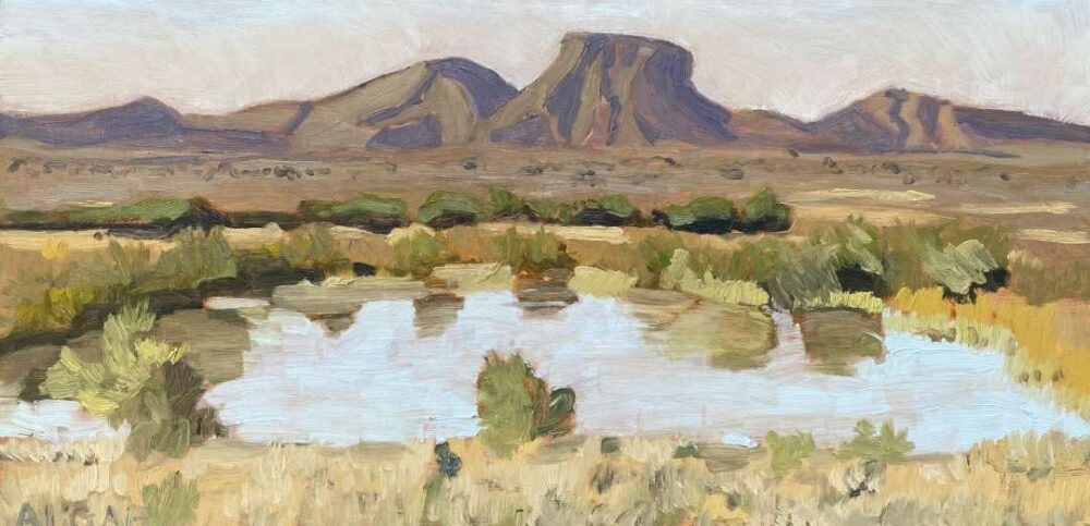 © Tracy Algar - Karoo landscape oil painting - Toor Kop near Aberdeen - original art 2026