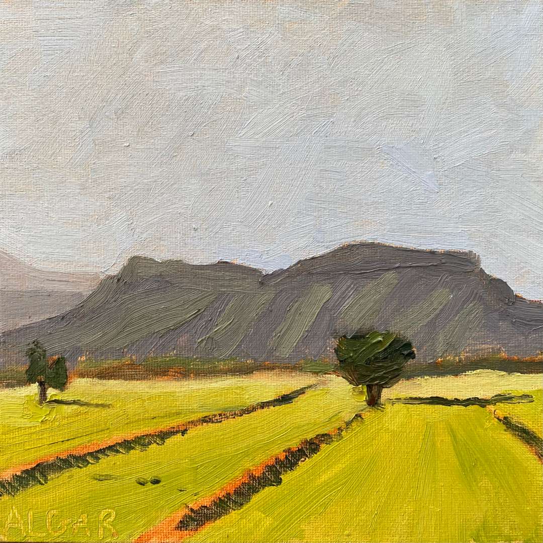 Tracy Algar - Camdeboo Fields, Afternoon Light - atmospheric South African landscape