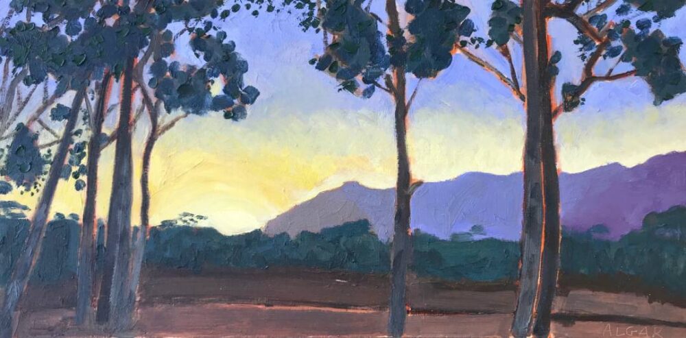 Tracy Algar - Kleinrivierberg Sunset, Stanford - original South African landscape art